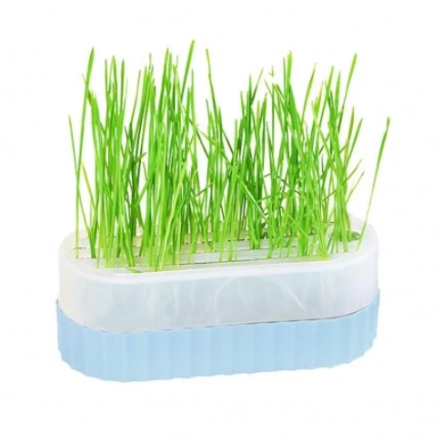 TOMG - Tom Cat Pakeway Cat Grass Blue