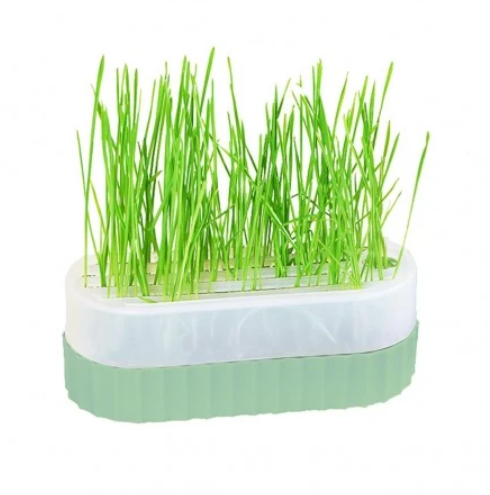 TOMG - Tom Cat Pakeway Cat Grass Green