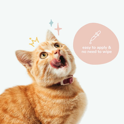 Kin+Kind Cat Ear Cleanser Kitty Ears 118ml