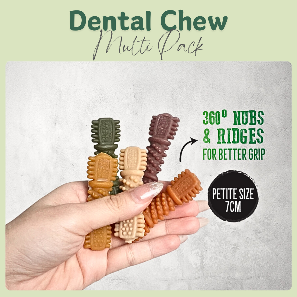 Absolute Holistic Dog Dental Multi Chew Boost Kale 160g